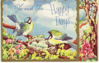 Vintage Birthday Greetings Card Birds Blue Tits Fold Out 3d Effect Brent