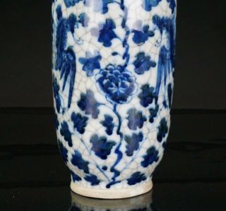 Antique Chinese Blue and White Crackle Glazed Porcelain Phoenix Vase Kangxi 19C 2