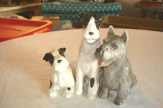 Vintage Goldscheider Austria 3 Terrier Dogs Figurine 5 1/2 " X 5 1/2 " Cond.