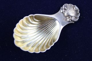 Vintage Hallmarked.  925 Sterling Silver Caddy Spoon W/ Shell Design (19g)