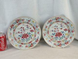 Pair Early 18th C Chinese Porcelain Famille Rose Floral Plates