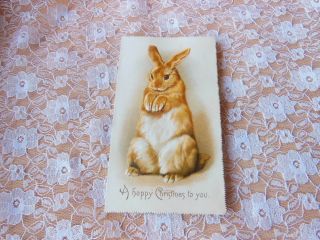 Victorian Christmas Card/rabbit/raphael Tuck