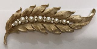 Vintage Trifari Gold Brush Feather Leaf Pearls & Clear Rhinestones Pin & Earring 3