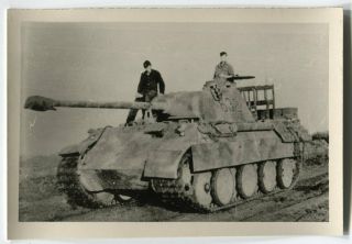 German Wwii Small Size Photo: Panzer V Panther Tank & Its Crew,  Agfa Paper