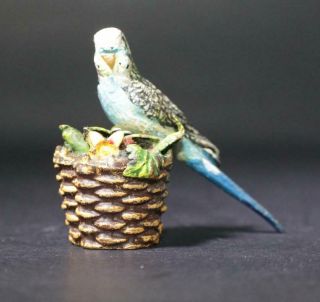 Vintage Austrian Painted Bronze Miniature Parakeet On Flower Basket Statue
