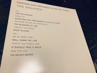 The Walkmen Everyone Who Pretended To Like Me Is Gone Vinyl LP 3