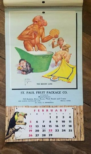 1956 St Paul WALL CALENDAR CHIMPANZEE CARTOONS BY LAWSON WOOD,  no writing 2