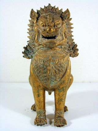 A Rare 11 " Antique Chinese Cambodia Asian Khmer Lion Foo Dog Bronze Gilt Statue