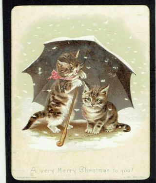 Maguire Wirth Bros Victorian Christmas Card Anthropomorphic Cats Under Umbrella