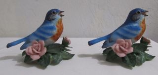 Two Stunning 1986 Lenox Eastern Bluebird Fine Porcelain Handcrafted In China