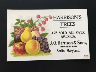 Berlin,  Maryland - J.  G.  Harrison & Sons Tree Nursery - Advertising Trade Card