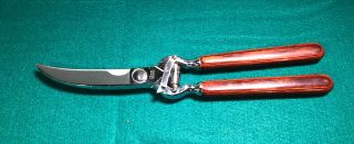 Vintage Case Xx Game Shears Stainless Steel 12 " Case Xx Poultry Shears