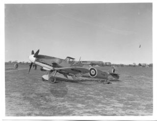 Captured German Bf 109 Fighter Plane In British Raf Markings Wwii Photo