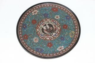 Cloisonne Chinese Antique 18th C Century Phoenix Bird Cloisonné Bronze Plate