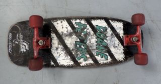 Vintage Duane Peters Santa Cruz Pro Series Complete Skateboard Og Deck