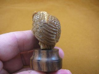 (tb - bird - 2) fluffy tan Horned Owl TAGUA NUT palm figurine Bali carving love owls 2