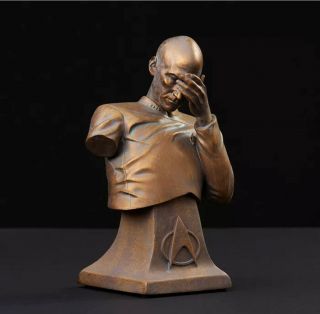 Star Trek Tng Captain Picard Bust 6 " Statue Bronze Edition Icon Heroes Rare