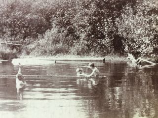 Vintage 4 Boys Skinny Dipping Jumping Off Logs In Log Pond Photo.