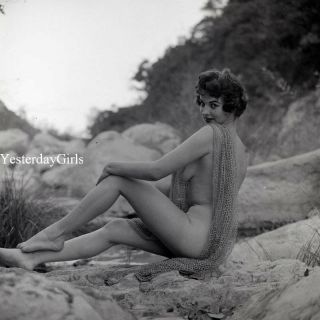 Ygnf - 1003 Vintage 2.  25 Negative Art Posed Nude Karen Klause Shot By Ron Vogel
