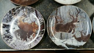 Complete Set of 12 PRIDE OF THE WILDERNESS Deer Plates Danbury Bob Travers 2