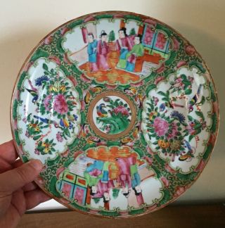 Antique Chinese Export Porcelain Dinner Plate Famille Rose Mandarin 19th C.  Bird
