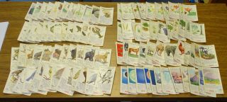 Coca - Cola The World Of Nature Trading Cards Series I Thru Viii 2 Missing 1929 - 32