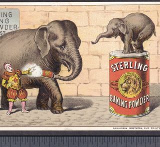 Elephant Circus Clown C 1880 Lion Sterling Baking Powder Ny Victorian Trade Card
