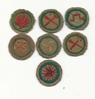 Boy Scout Proficiency Badges Early