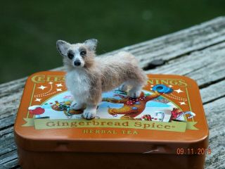 Ooak Artisan Tiny Dollhouse Miniature Realistic Welsh Corgi Dog 1:12
