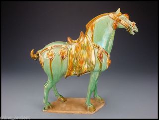 Ancient Chinese Tang Dynasty Sancai Glazed Pottery Horse