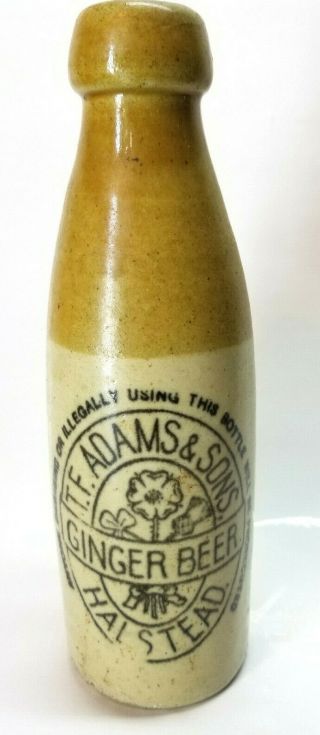 T.  F.  Adams & Sons Stoneware Ginger Beer Bottle - - Halstead,  England - - Circa 1900