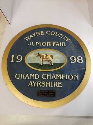 Wayne County Fair Ohio Vintage Handpainted Grand Champion Sign Rustic Farm