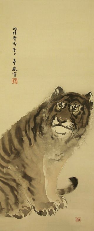 掛軸1967 Japanese Hanging Scroll : Mochizuki Kinpo " Fierce Tiger " W/box @ske291