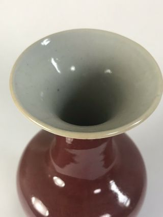 Qing Dynasty Chinese Sang de Boeuf Jihong Red oxblood Glazed Porcelain Vase 2