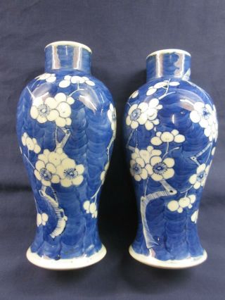 Pair Chinese Late Qing With Kanxi Mark Painted Blue White Prunus Porcelain Vase