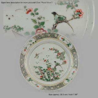 Antique Ca 1700 Chinese Porcelain Kangxi Plate Famille Verte Bird Garden.