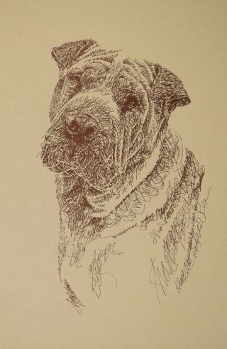 Shar Pei Dog Art 32 Artist Stephen Kline Adds Your Dogs Name.  Great Gift