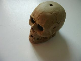 Dalton Ceramic Life Size Skull Illuminary Use Candle/led Light Incense Burner