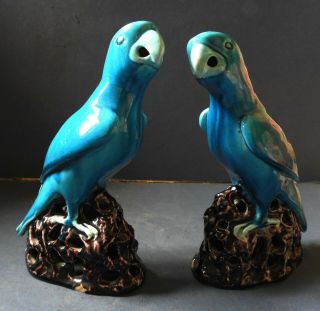 Good Chinese Porcelain Figures Of Parrots - 19th Century