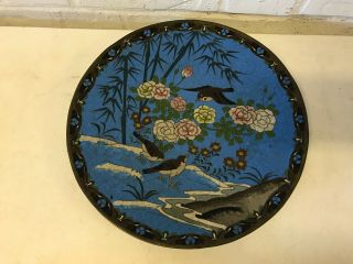 Antique Japanese Meiji Period Cloisonne Charger Plate Birds & Flowers Decoration