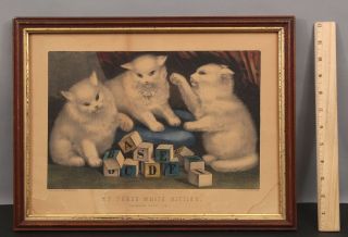 19thc Antique Currier & Ives Three White Kitties Hand Colored Lithograph Print
