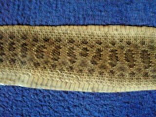 Rattlesnake Skin Prairie Rattler Hide Soft Tanned Bow Wrap Pen Blanks 36 In.  T7