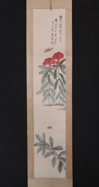 Fine Chinese Hand - painting Painting Four Scroll Qi Baishi Marked - gourd 2