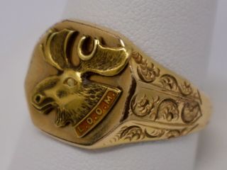 Antique C.  1910 Loyal Order Of The Moose Mens Signet Ring 14k Gold Shell Sz 10.  5