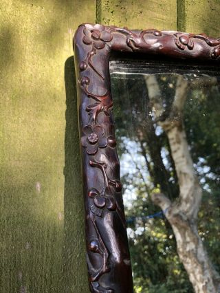 Antique Chinese Finely Carved Hardwood Frame - Mirror - Flowering Prunus 2