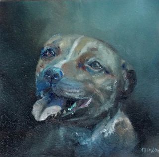 Oil Painting Staffordshire Bull Terrier Staffie William Jamison 6 " X 6 "