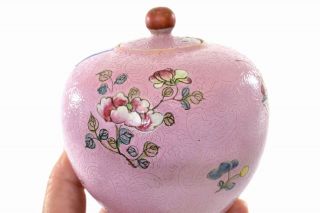 1900 ' s Chinese Nonya Nyonya Peranakan Famille Rose Porcelain Tea Caddy Vase 2