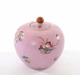1900 ' s Chinese Nonya Nyonya Peranakan Famille Rose Porcelain Tea Caddy Vase 3