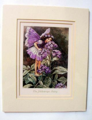 Double Matted Fairy Print,  A Heliotrope Fairy,  From Cicely Mary Barker