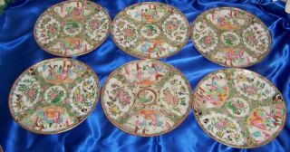 Vintage Chinese Export Rose Medallion 6 Plates 8 1/2 Inches Circa 1800 